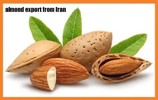 almond export from Iran