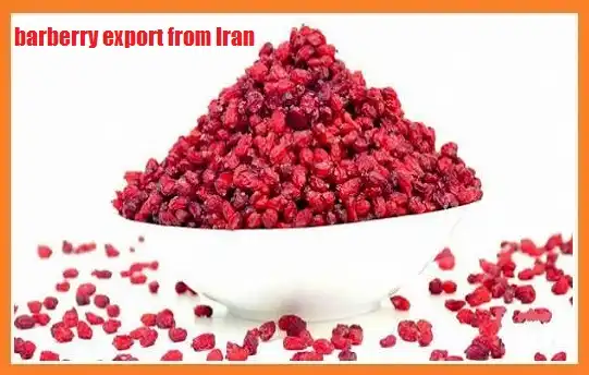 barberry export from Iran