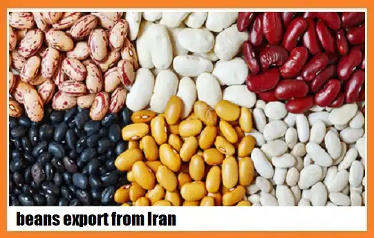 beans export from Iran