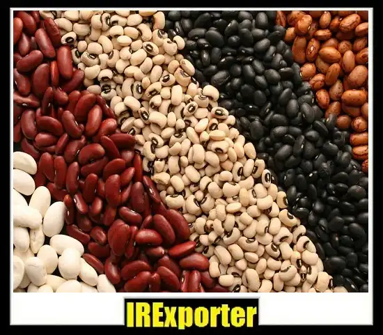 Bean export from Iran