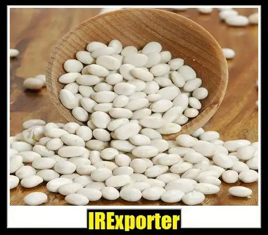 Export beans sales