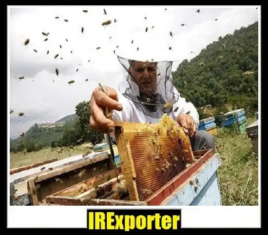 Iran export honey business group