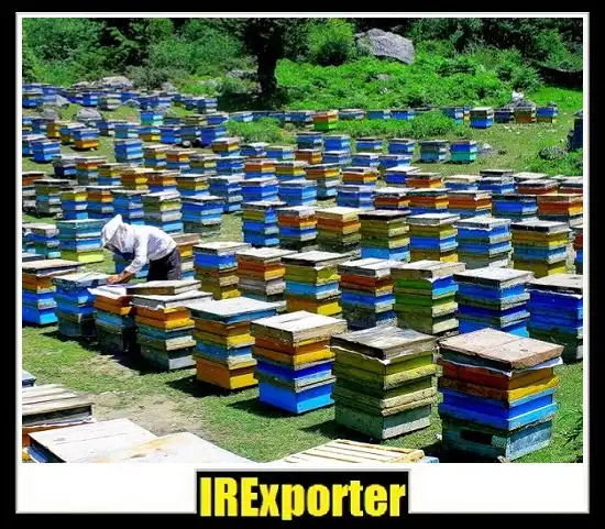 Guide to specifications of export honey from Iran