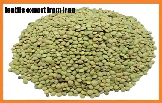 lentils export from Iran