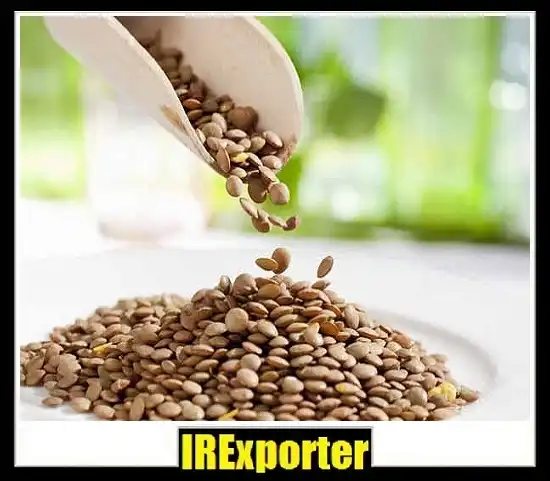 Lentils export from Iran