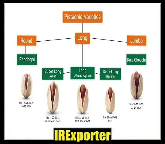 Export pistachio sales