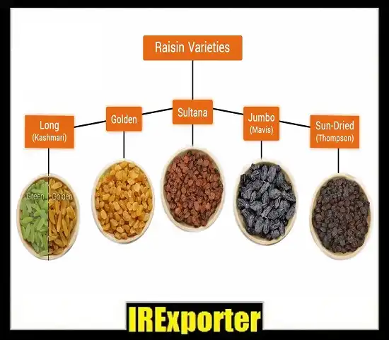 Iran raisin exporter exchange