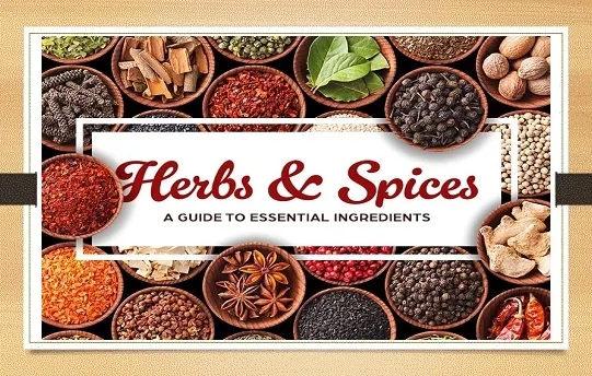 Spices & Herbs EXPORT