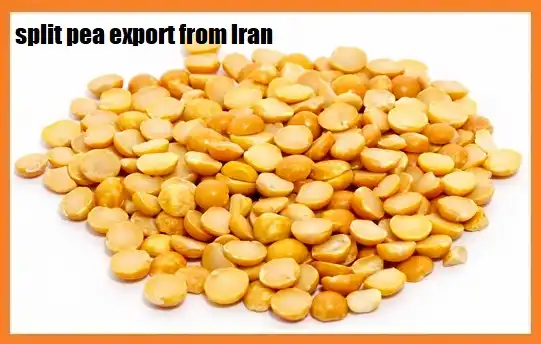 split pea export from Iran