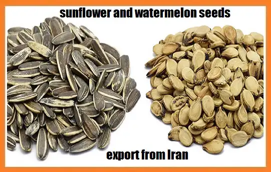 sunflower & watermelon seeds export from Iran