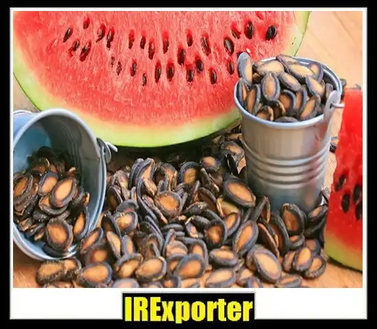 exporter watermelon seed