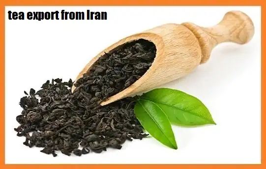 tea export from Iran