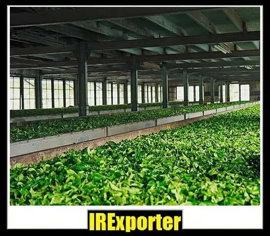 Iran export tea business group