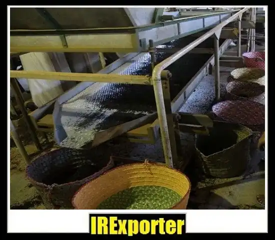 Iran export tea transportation