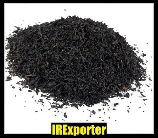 Where can I buy export tea