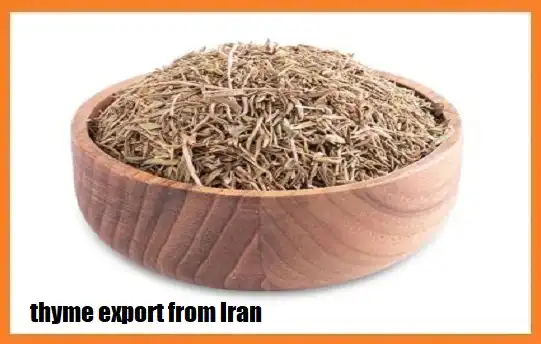 thyme export from Iran