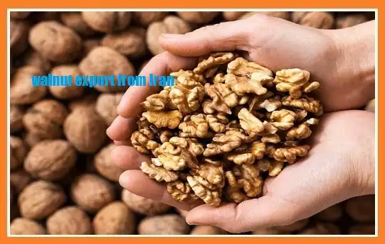 walnut export from Iran