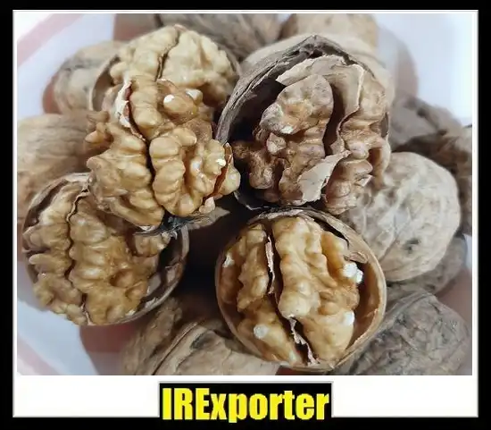 Export walnut sales