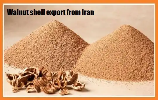 Walnut shell export from Iran