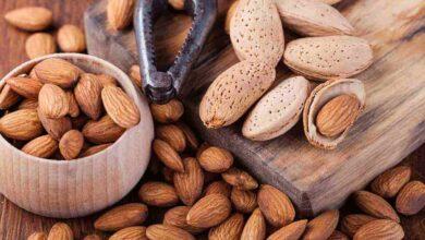 Premium Iranian Almond export