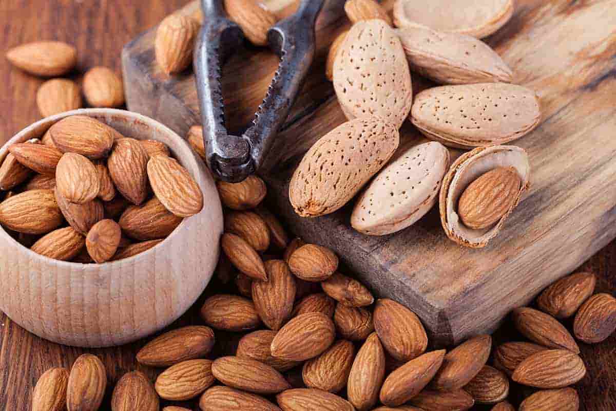 Premium Iranian Almond export | iran exports Premium Iranian Almond export