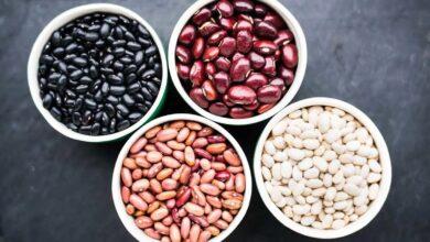 Premium Iranian Bean export