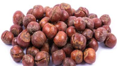 Premium Iranian Hazelnut export