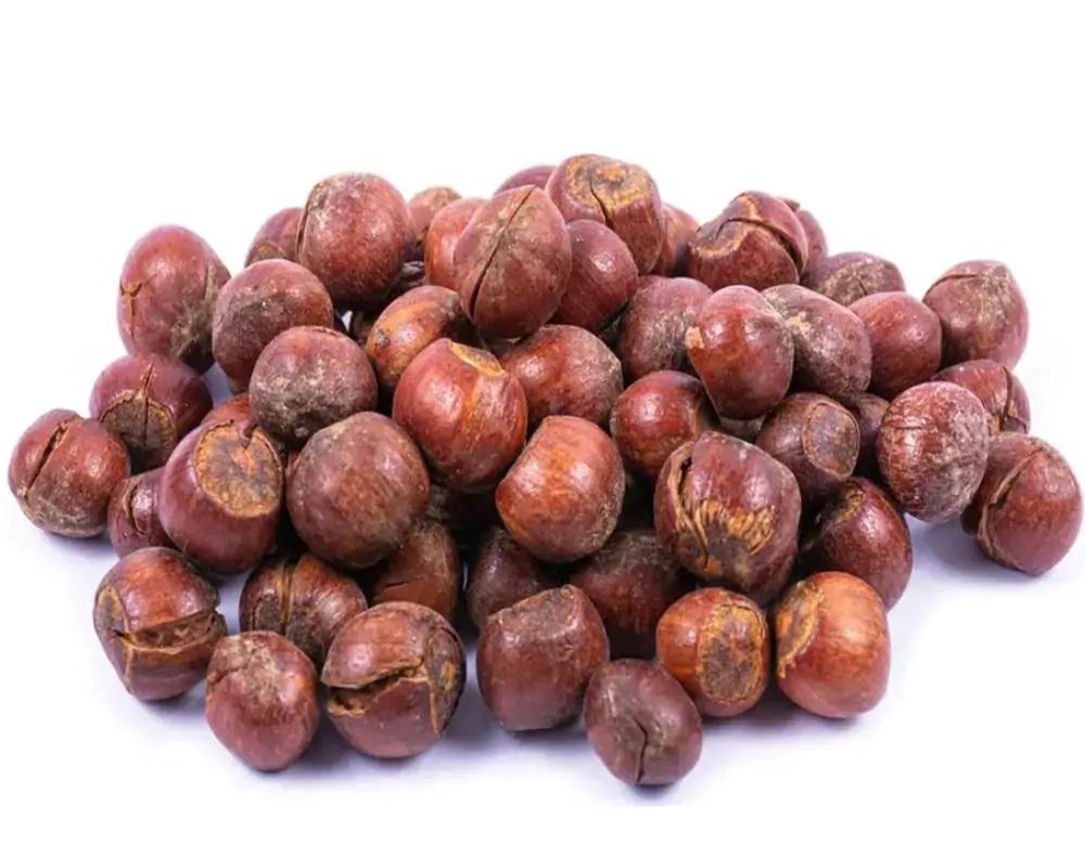 Premium Iranian Hazelnut export | iran exports Premium Iranian Hazelnut export