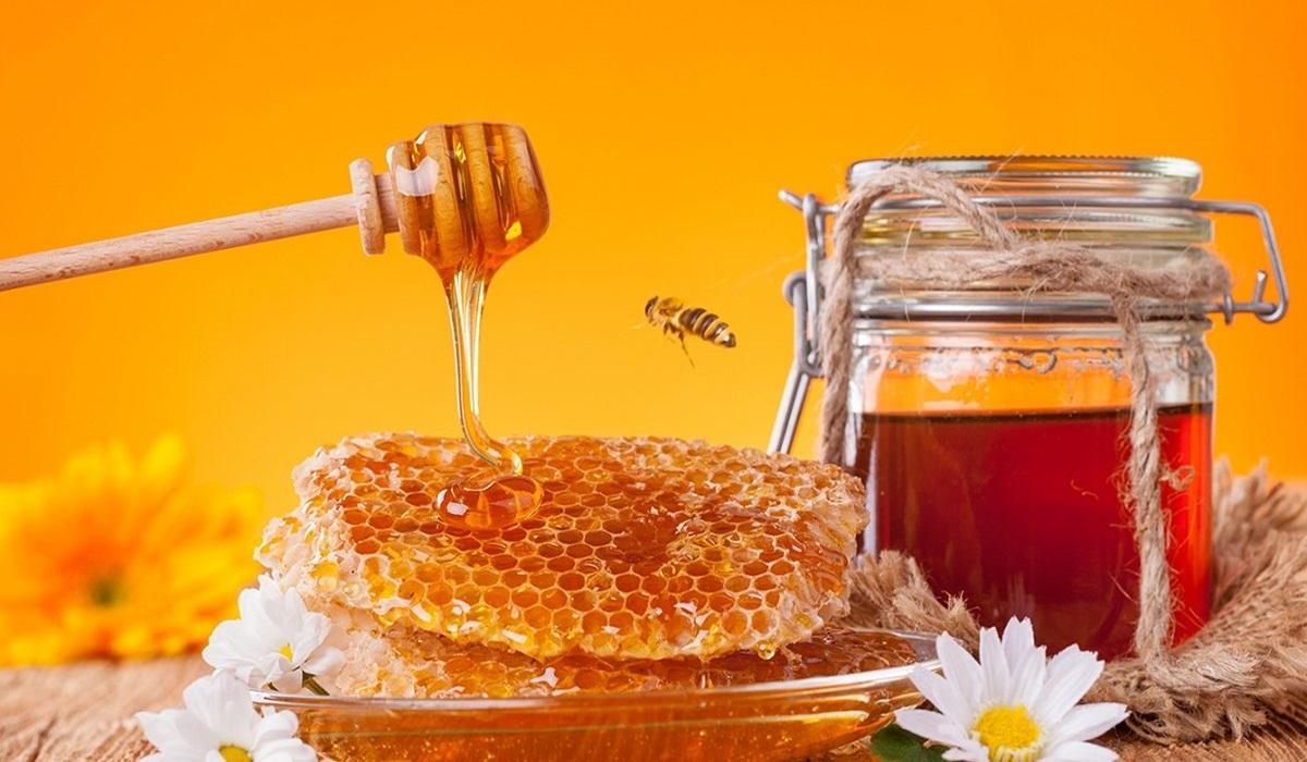Premium Iranian Honey export | iran exports Premium Iranian Honey export