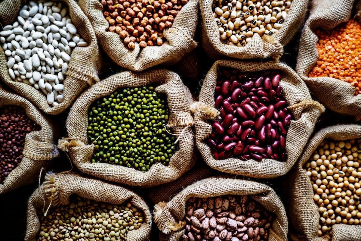 Premium Iranian Legume exports | iran exports Premium Iranian Legume exports