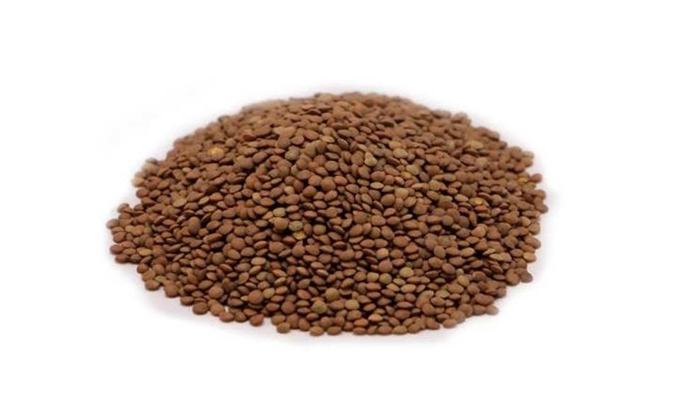 Premium Iranian Lentils export