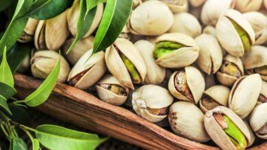 Premium Iranian Pistachio export