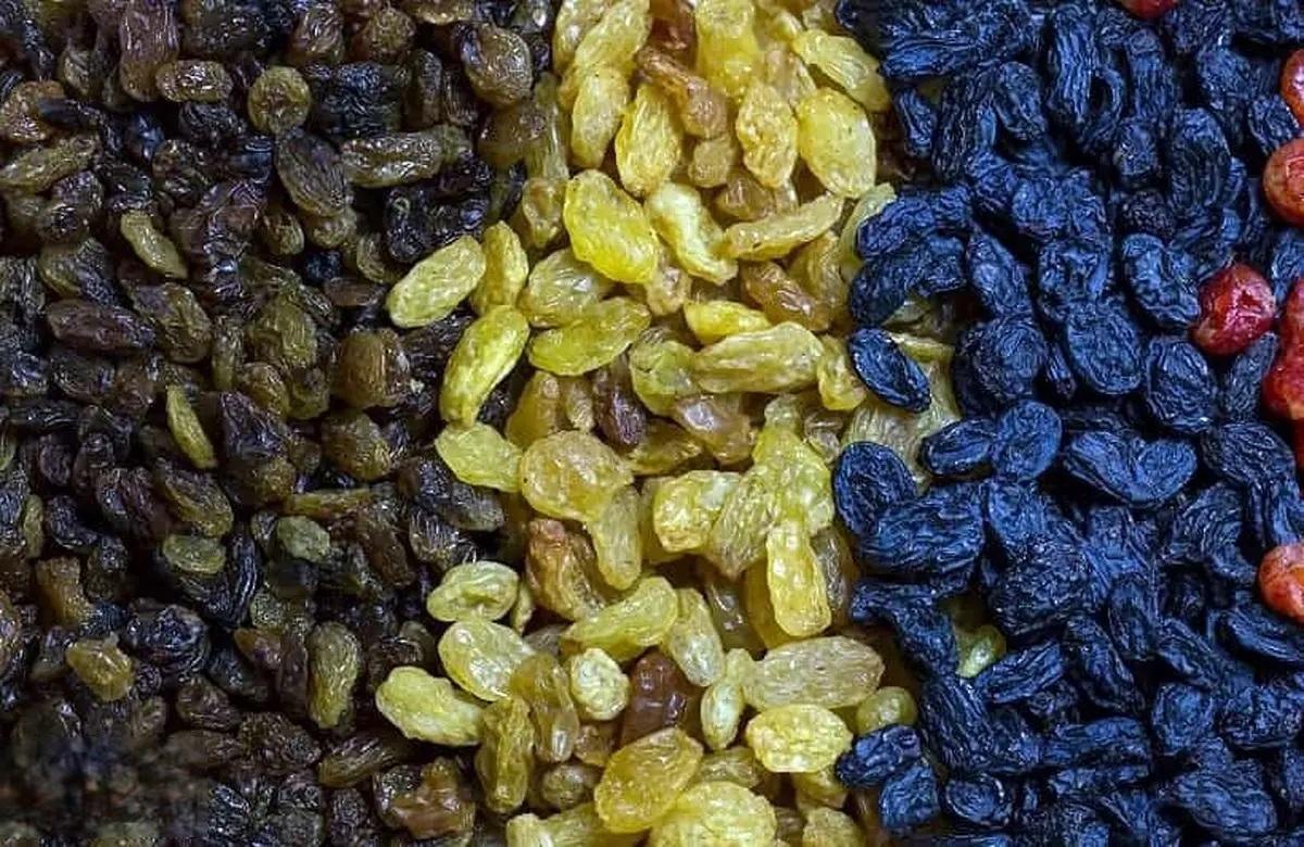 Premium Iranian Raisin export