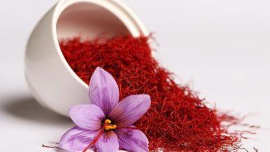 Premium Iranian Saffron export