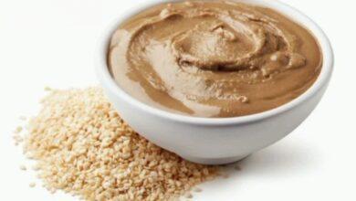 Premium Iranian Tahini exports