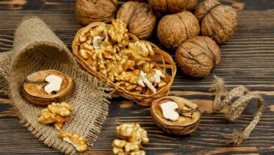 Premium Iranian walnut export