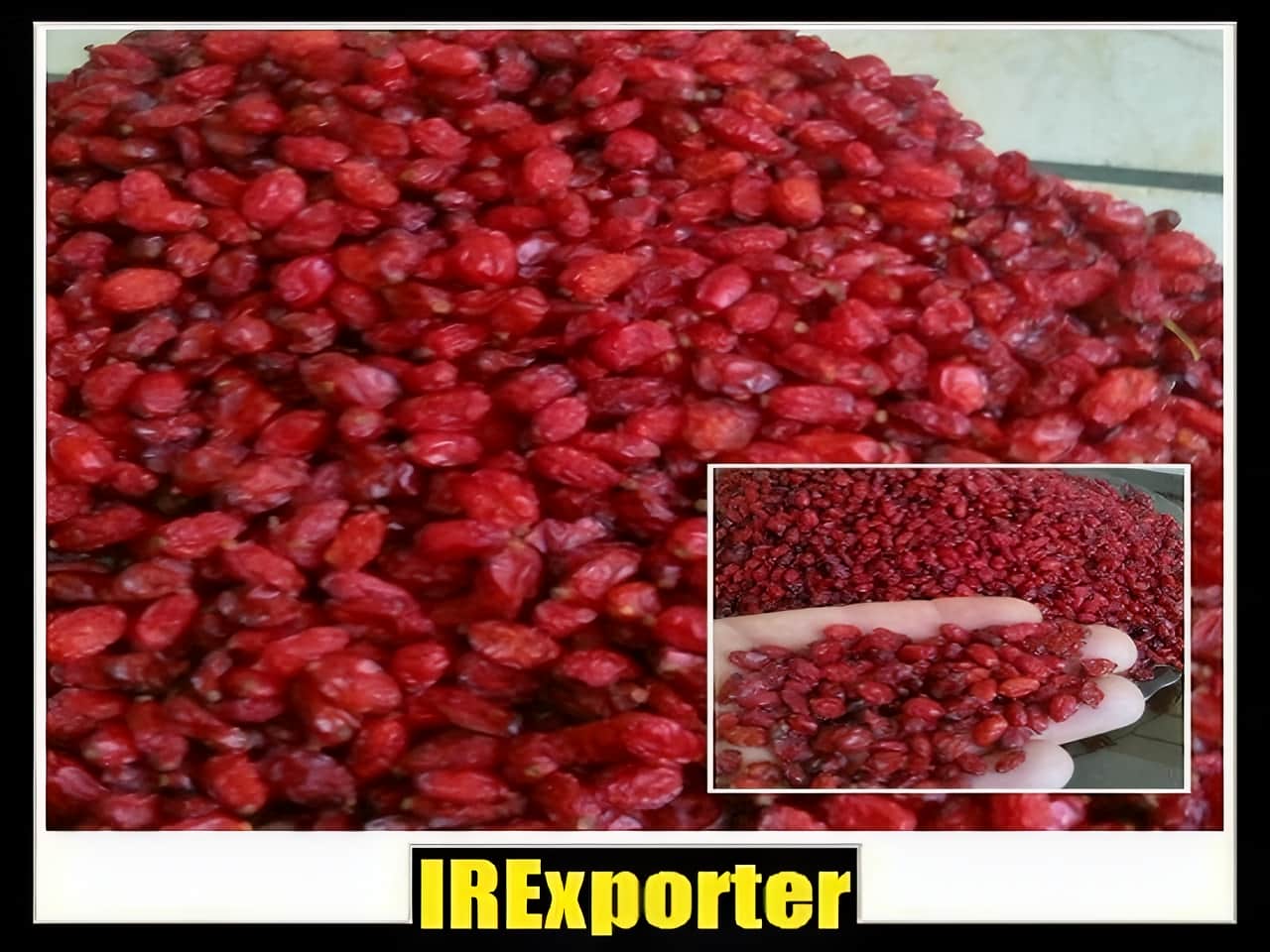 Export barberry shopping center