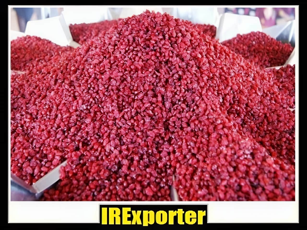 Iran export barberry transportation