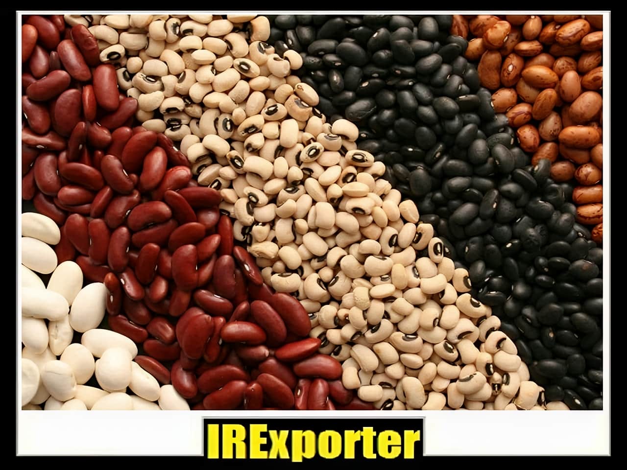 Iran’s Legume Export Market