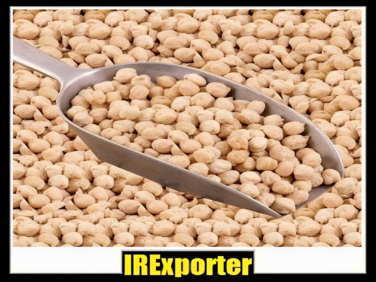 Iran chickpeas exporter exchange