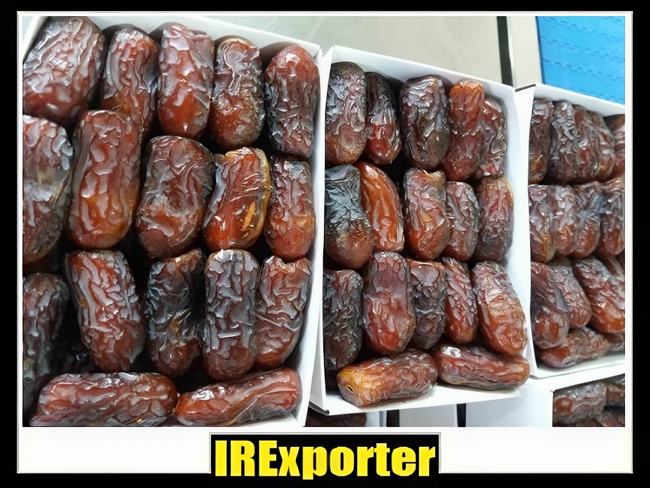 Export Date palm sales
