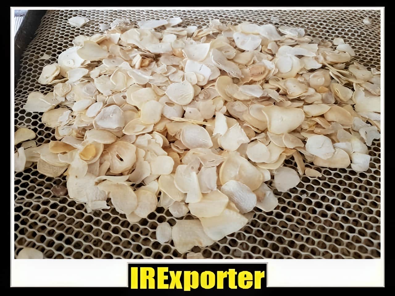 Export dried shallots shopping center