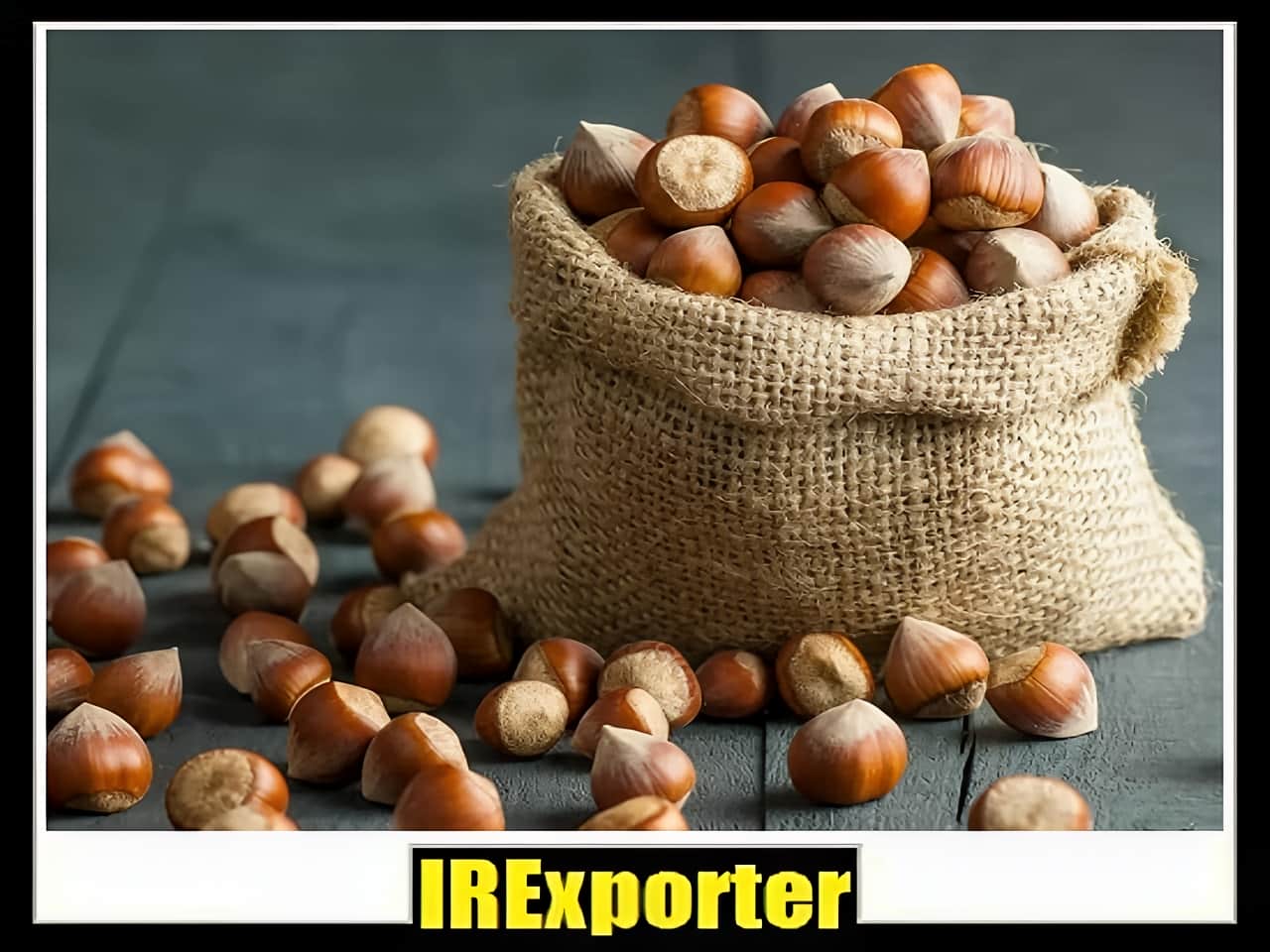 Export hazelnut shopping center
