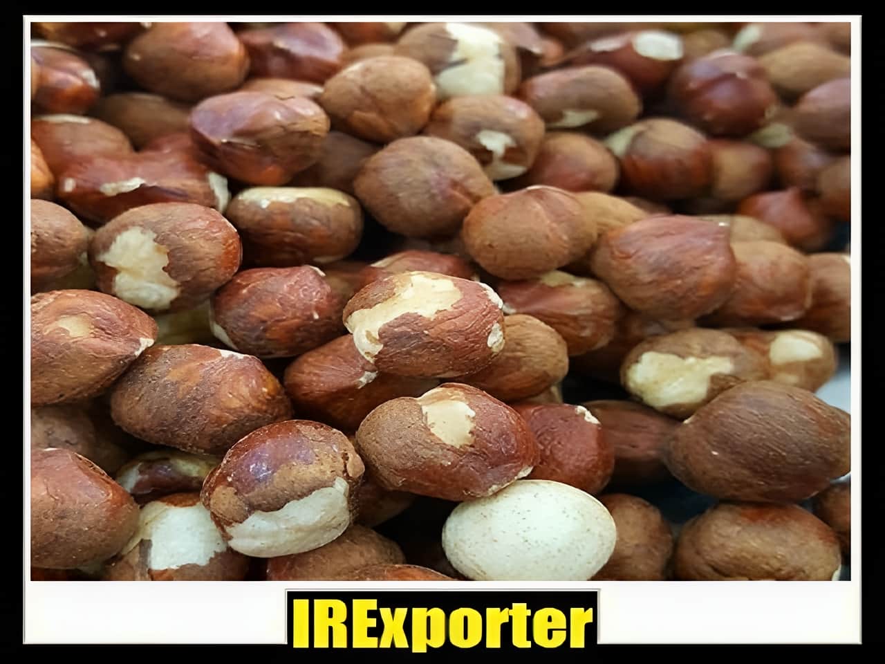 Export hazelnut sales