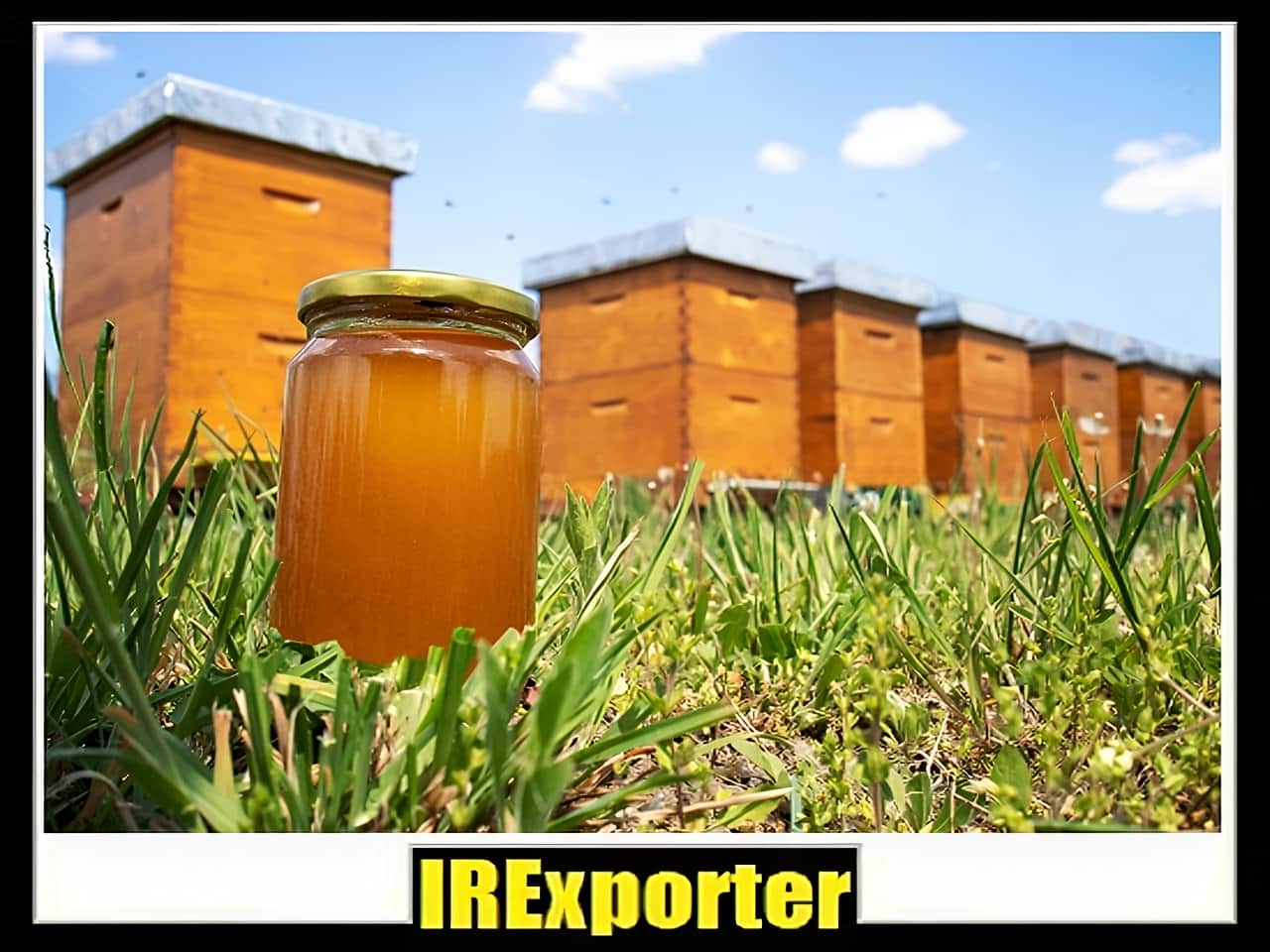 Iran honey exporter exchange