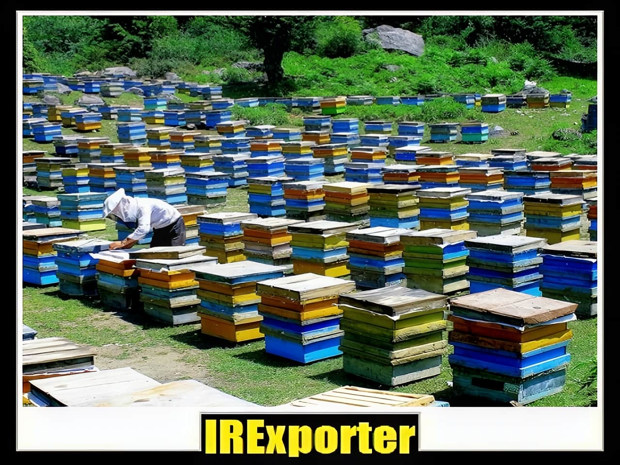 Guide to specifications of export honey from Iran