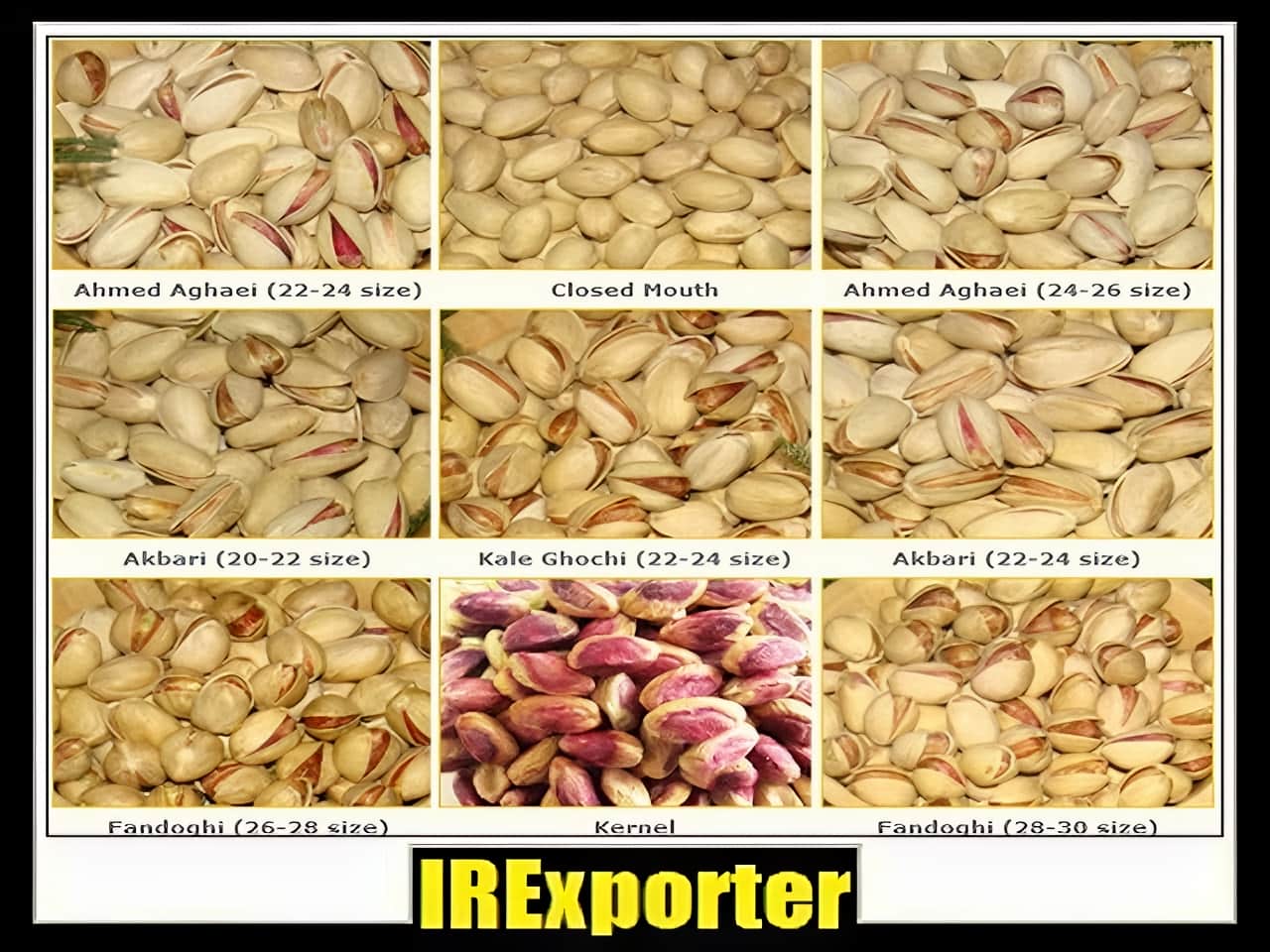 Pistachio export from Iran
