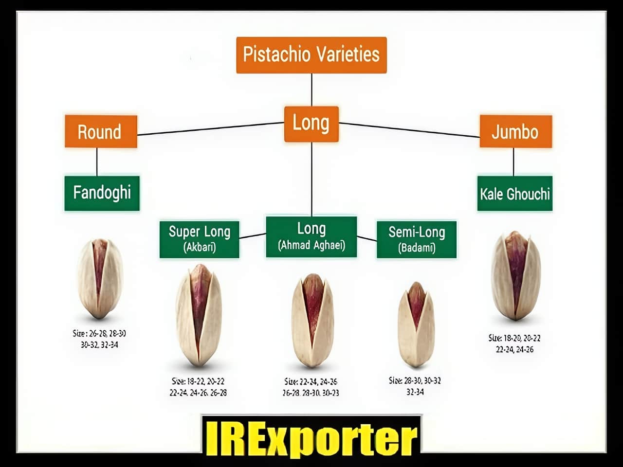 Export pistachio sales