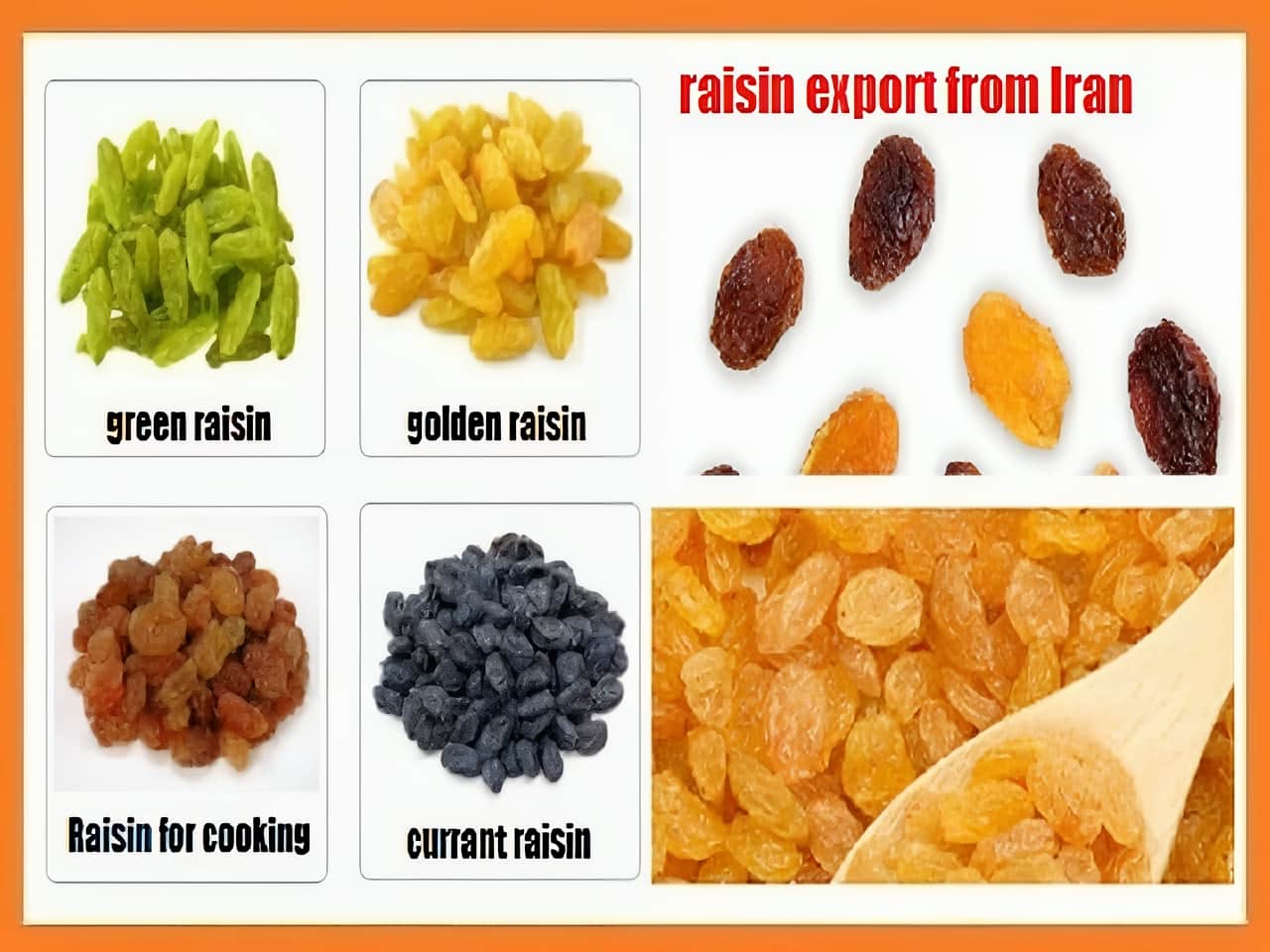 raisin export from Iran
