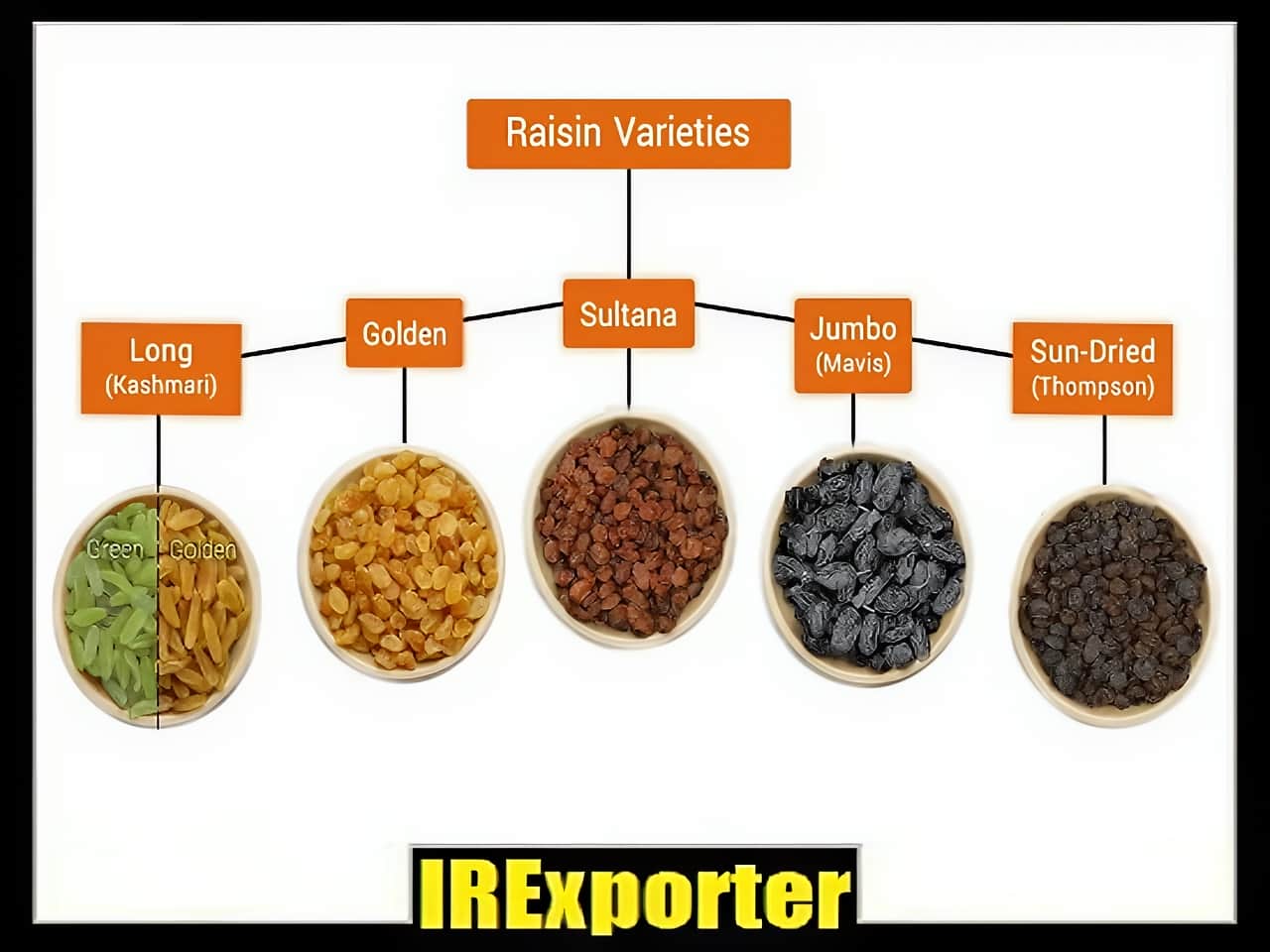 Iran raisin exporter exchange